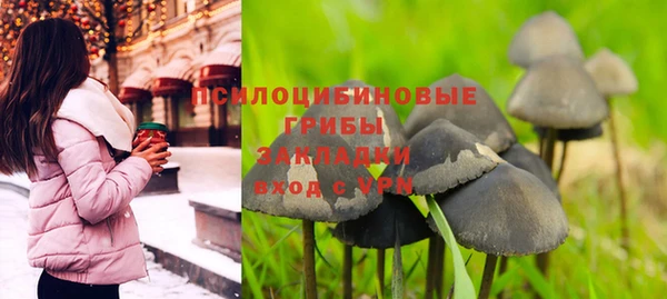круглые Вяземский